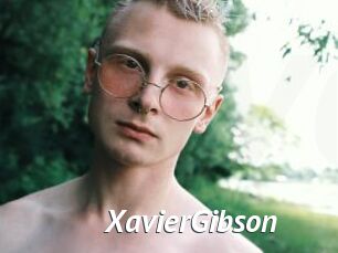 XavierGibson Gay Vod