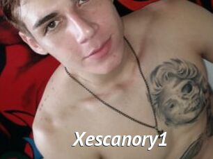 Xescanory1