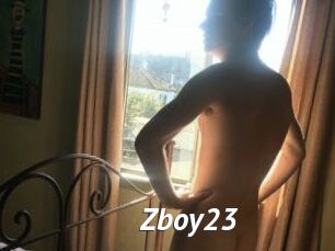 Zboy23