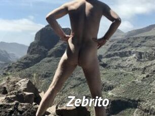 Zebrito