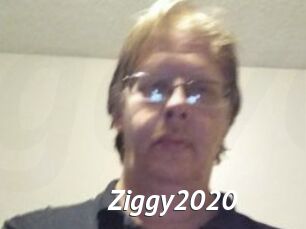 Ziggy2020