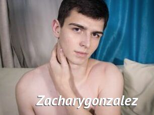 Zacharygonzalez
