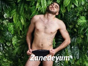 Zanedeyum