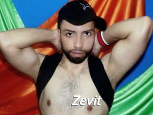 Zevit